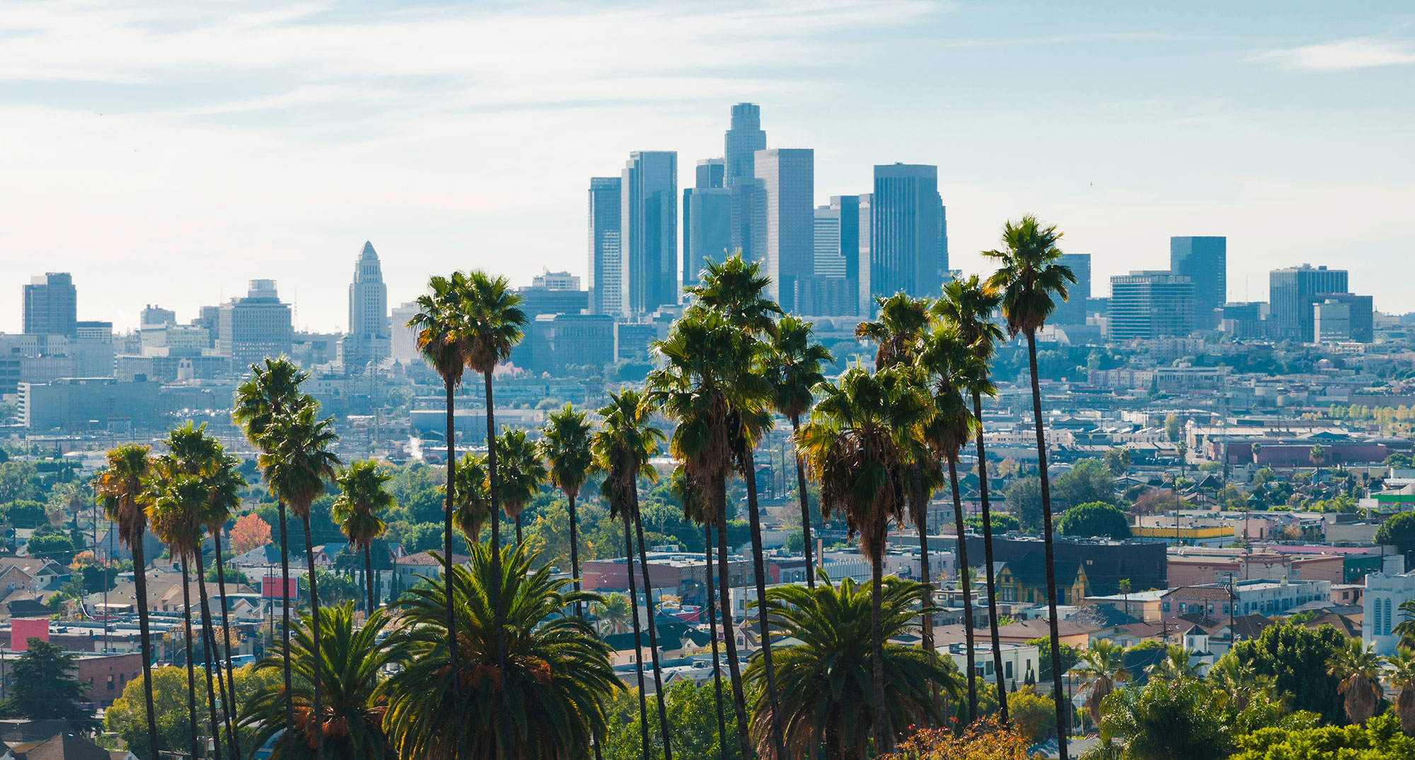Los-Angeles-skyline-aerial-(backlit)-w-palm-trees-000035352024_Large | Rockefeller Philanthropy