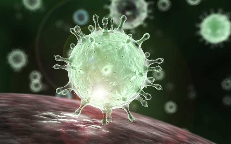sciencesource_ss2413465-bd5e295079f203794a6d35a99a4db82fa5615d4d-s800-c85