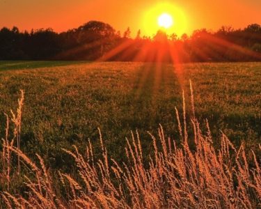 Science-Based-Targets-Network-375x600